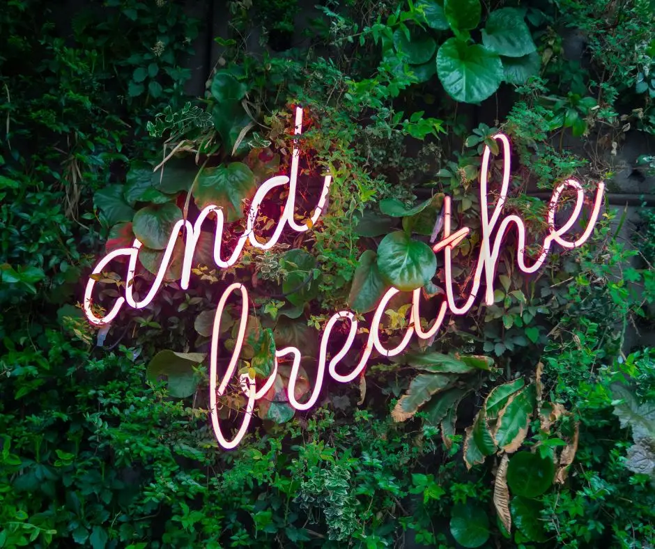 reparenting just breathe image