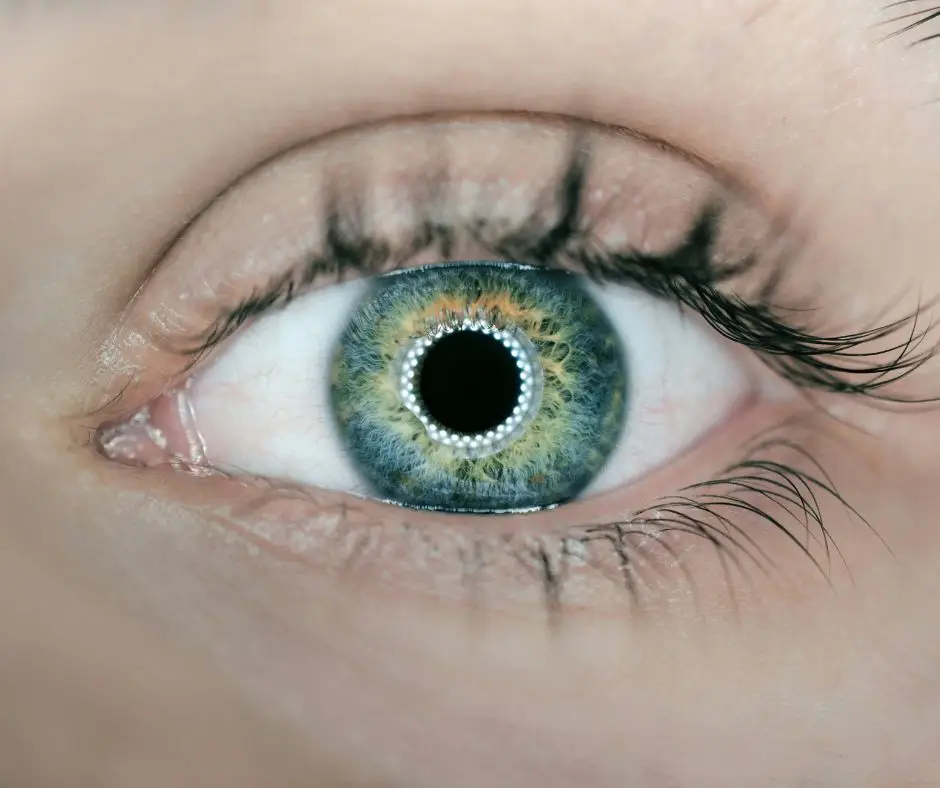 Eye Movement Desensitization and Reprocessing