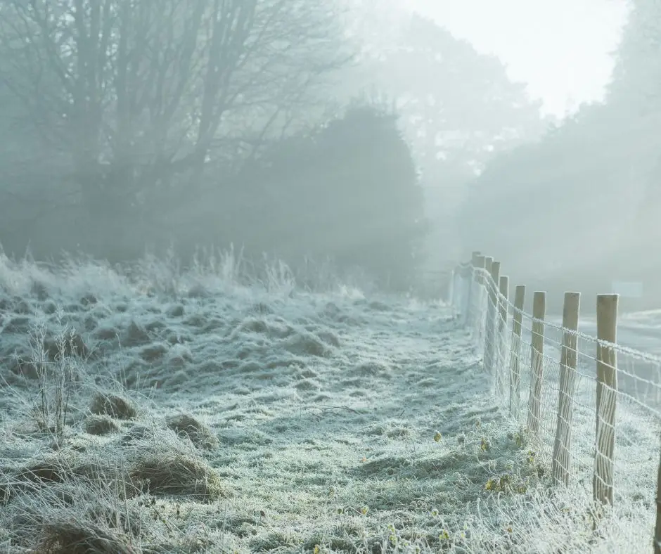 image showing cold weather that can affect Seasonal Depression 